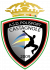 logo Polisport Castagnole